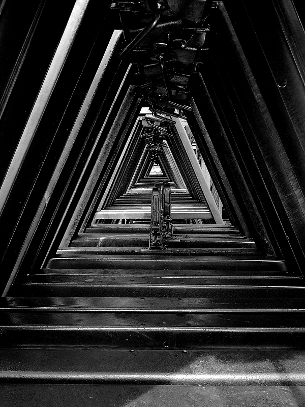 2019-02/dscn7742-aa-r-800