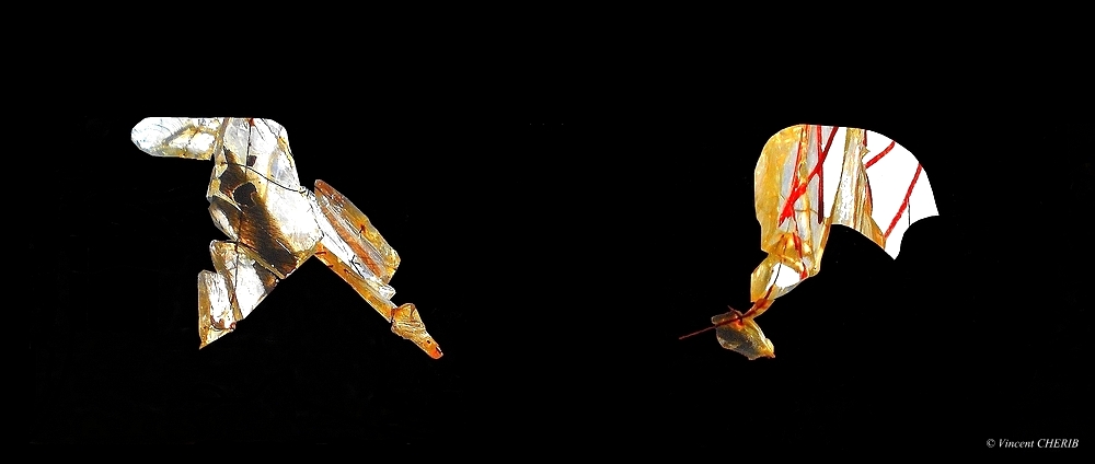 2019-04/1555193830_unx-124