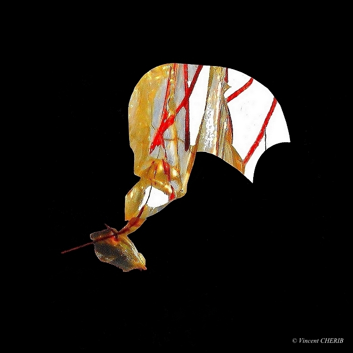 2019-04/1555193831_unx-122