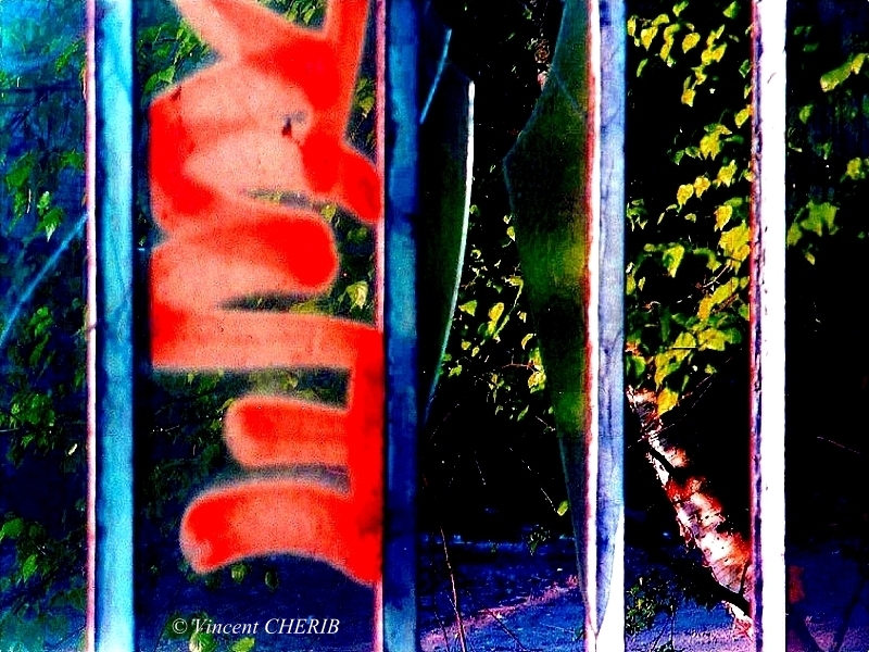 2022-07/1658987692_dr-11