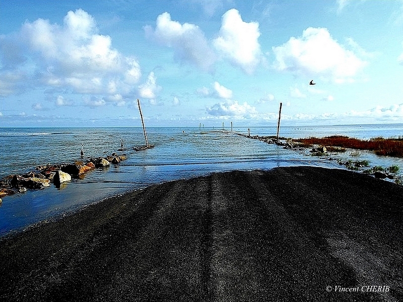 2022-08/eom-164b-eom-lgm-403