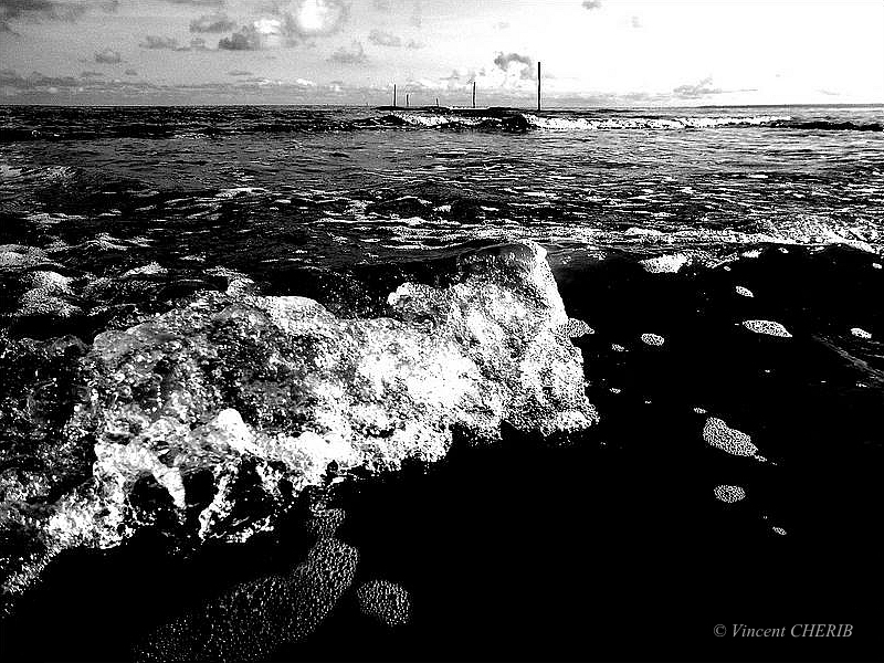 2022-08/eom-164c-eom-lgm-401