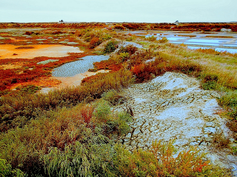 2025-10/00001-dscn4420-lw-hf-eda-okokok