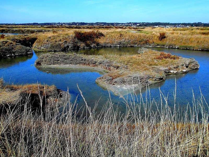 2025-10/00001-yes-viny-21-msg-z41-1-2-hl