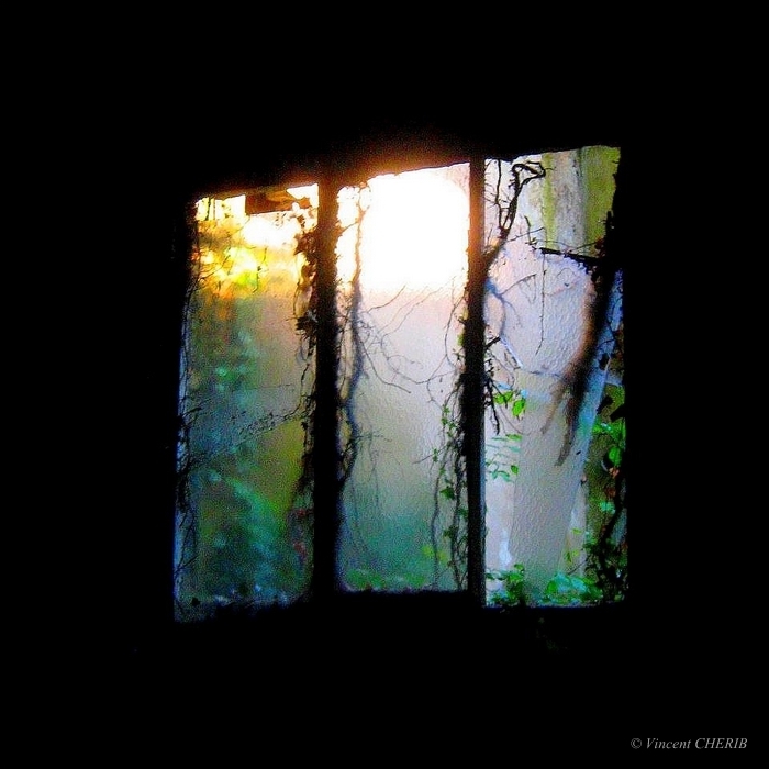 2019-02/1549548208_hope-8