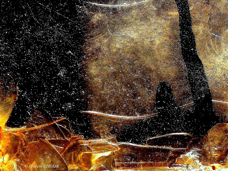 2022-07/1658872445_unx-248