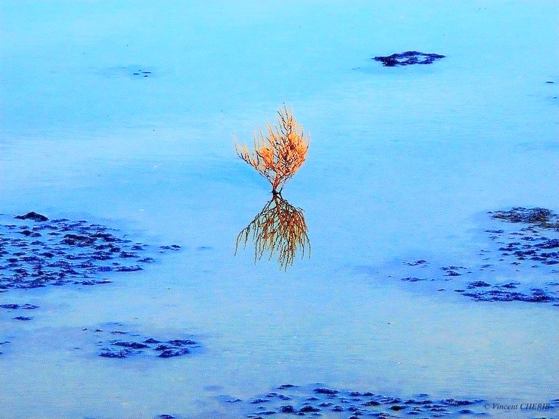 2025-10/1761810954_01fok