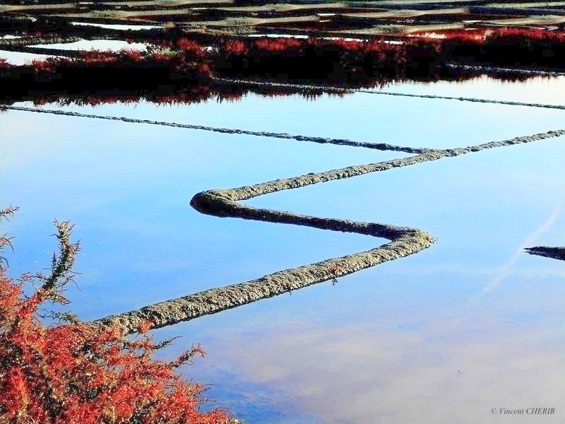 2025-10/1761810957_01dok