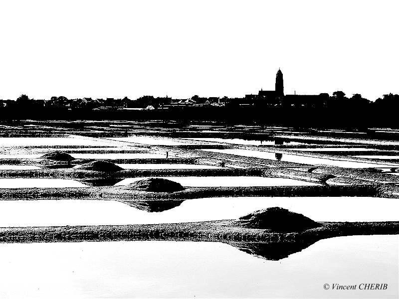 2025-10/1761810983_01okn