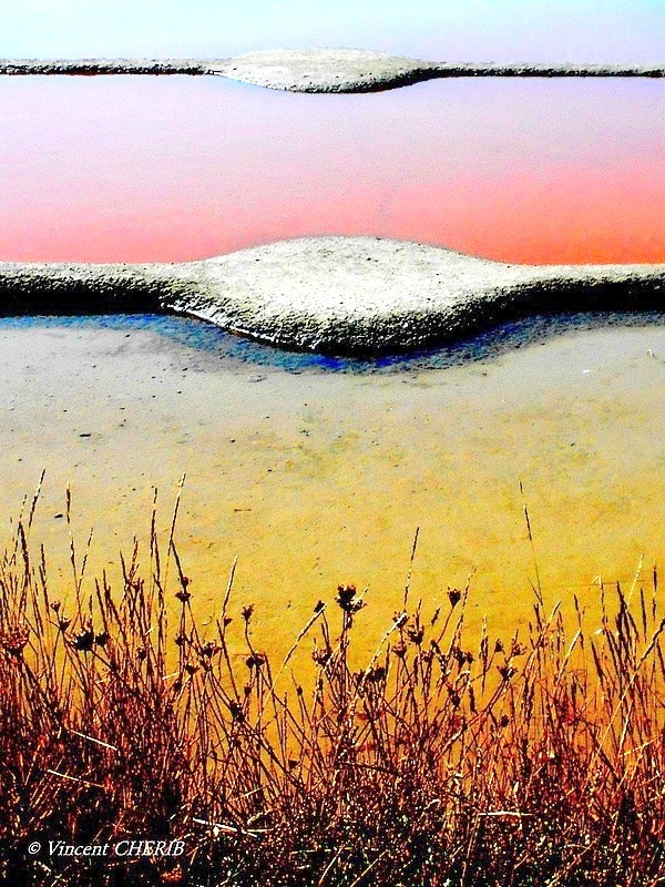 2025-10/1761810987_01hok