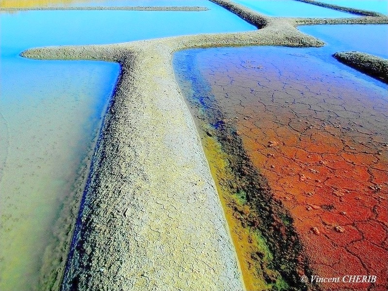 2025-10/1761810991_01ook