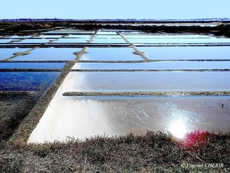 2025-10/1761811004_01kok