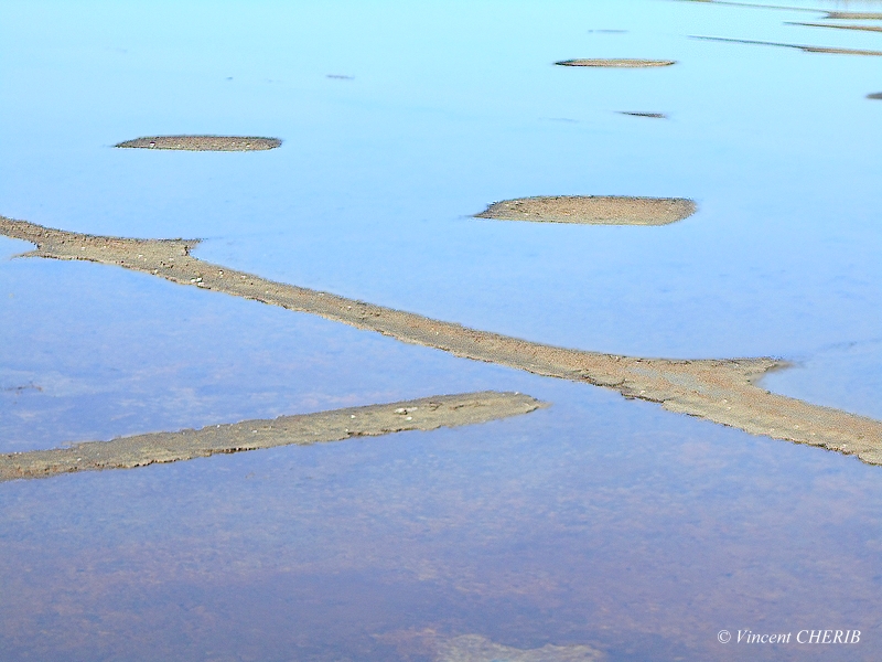 2025-10/1761811005_01qqok