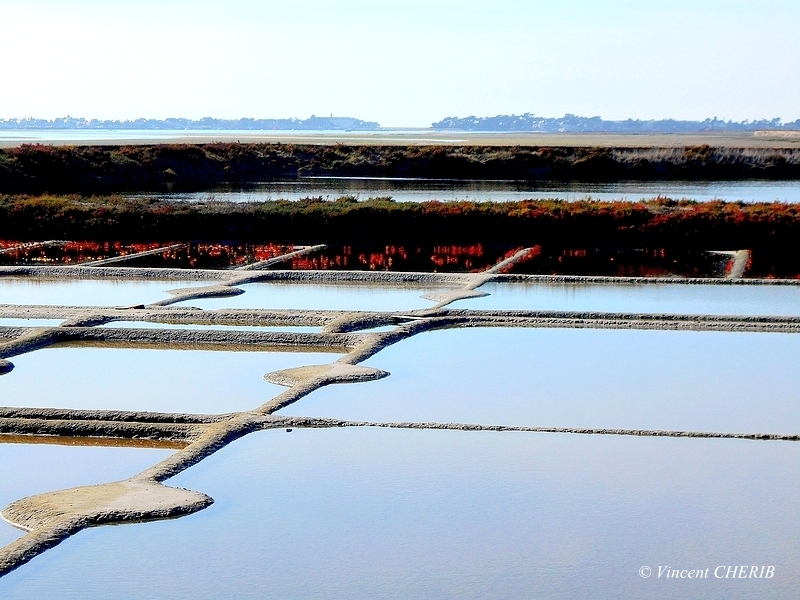 2025-10/1761811009_01okkm