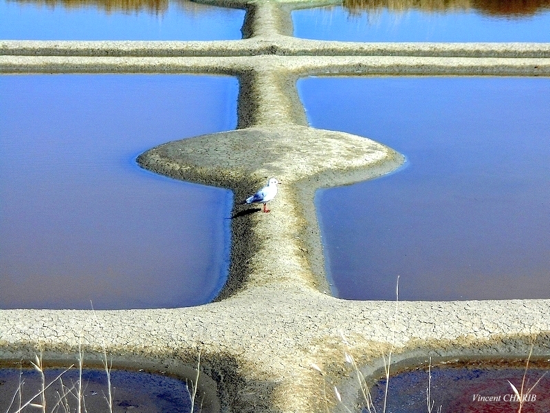 2025-10/1761811022_01qok