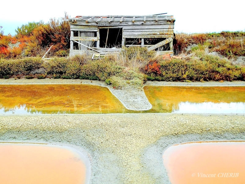 2025-10/1761811024_01sok