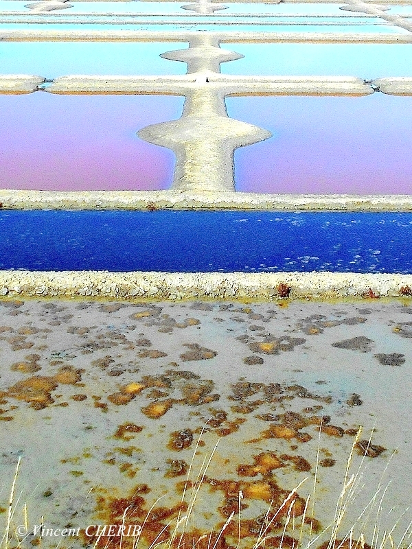 2025-10/1761811025_01gok