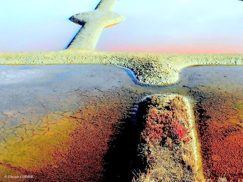 2025-10/1761811025_01okmoo