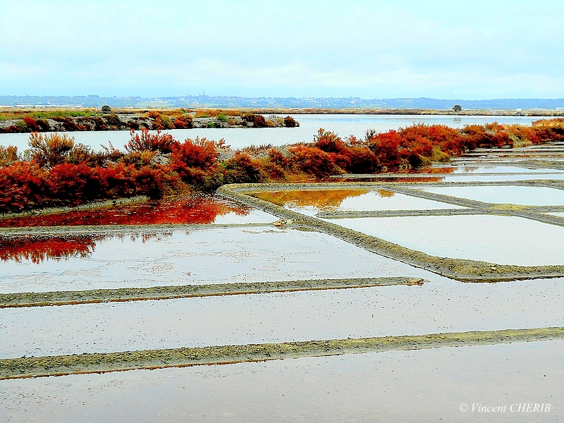 2025-10/1761811026_01uuok