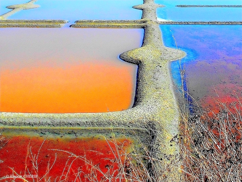 2025-10/1761811028_01eok