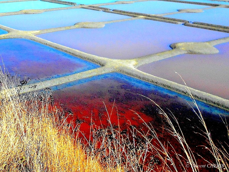 2025-10/1761811028_01jok