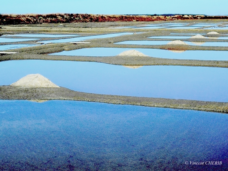 2025-10/1761811028_01oknnn