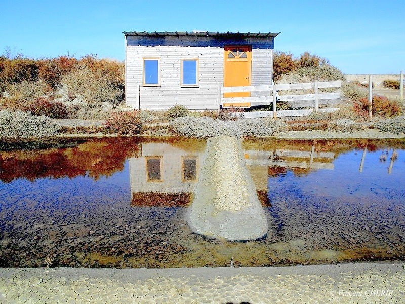 2025-10/1761811029_01tok