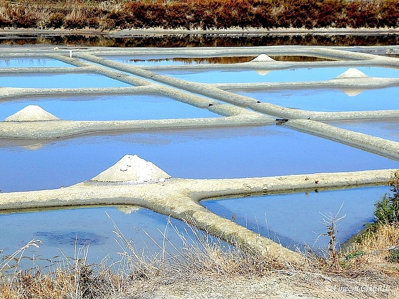 2025-10/1761811031_01oknn