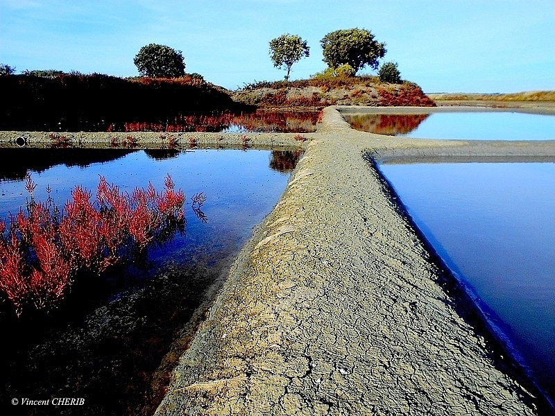 2025-10/1761811031_01uok