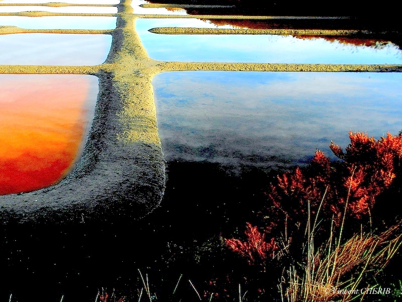 2025-10/1761811240_z19