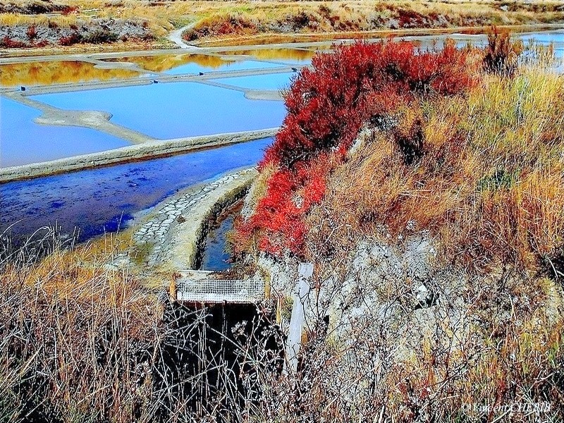 2025-10/1761813116_33