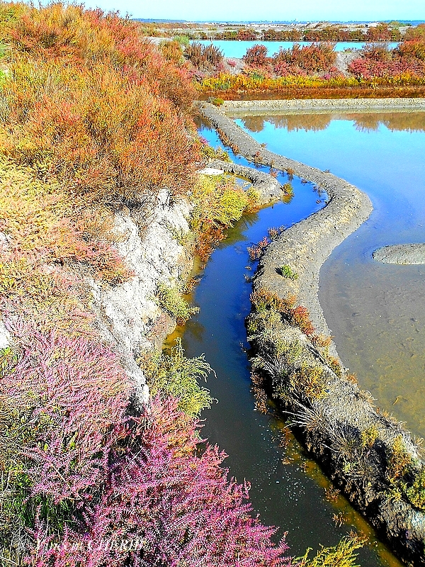 2025-10/1761813120_34