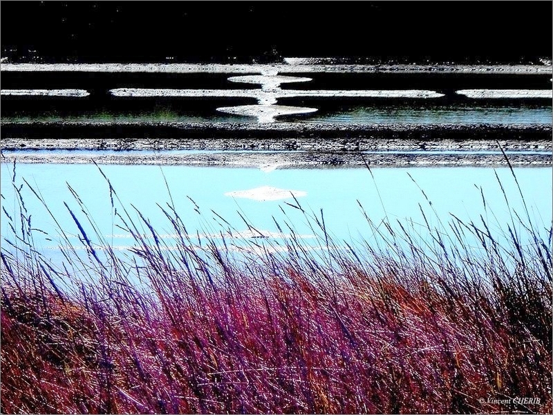 2025-11/01rokbd-1-px-essai-website-rdm