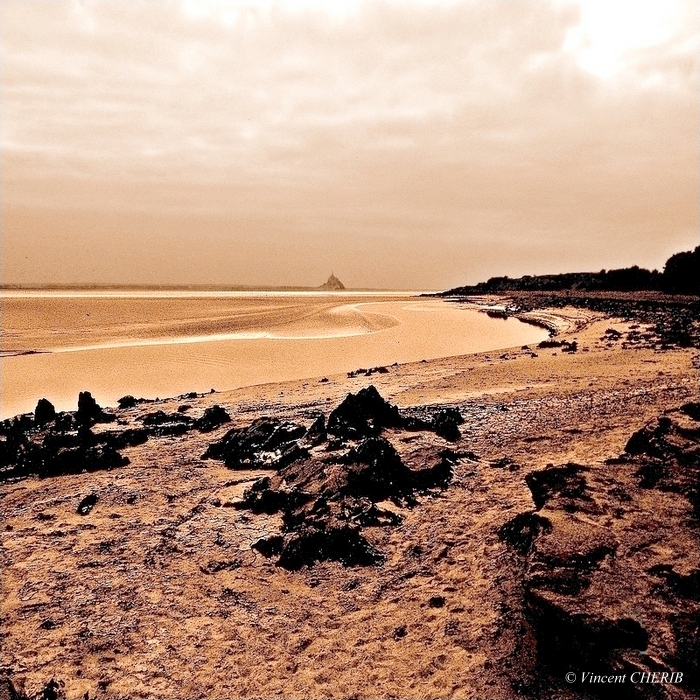 2025-11/1761971469_c-vincent-cherib