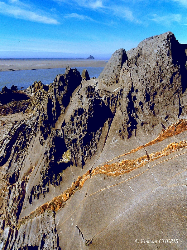 2025-11/1761972886_dscn9887-baie-26-bdc-10-magenta-10-bleu-contraste-veines-20-epn-p-s