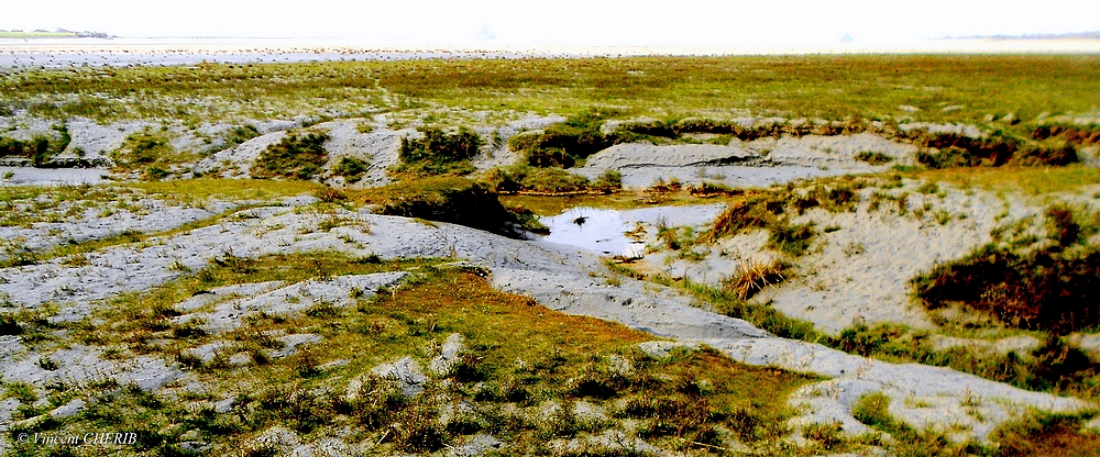 2025-11/1763138023_6