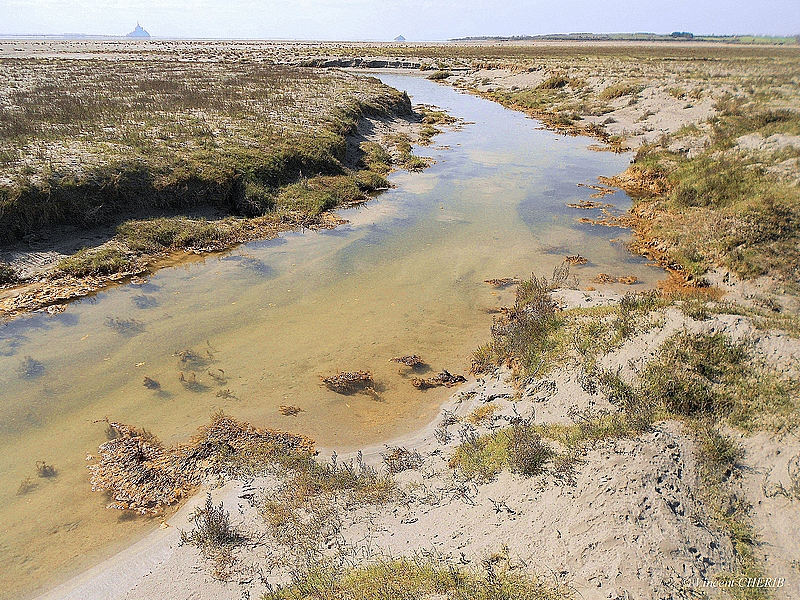 2025-11/1763138027_7