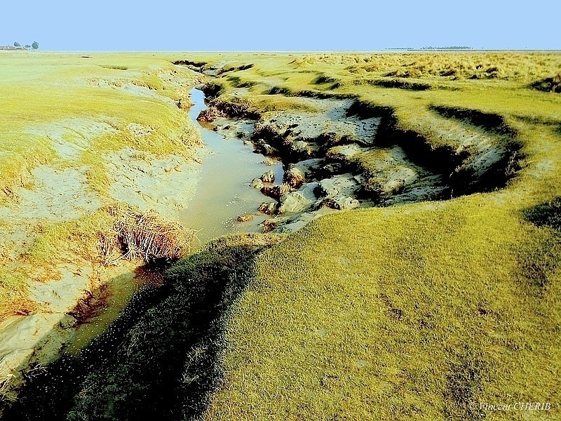 2025-11/1763139694_12-s