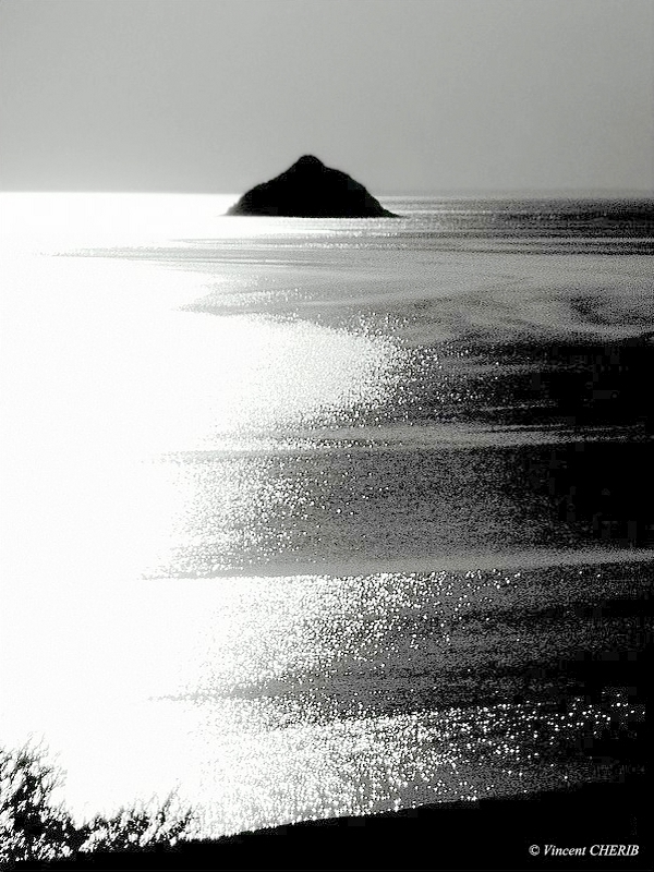 2025-11/513656476-24400672202871992-386547744426410094-n-ok-on-verra