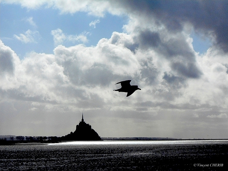 2025-11/7c-vincent-cherib