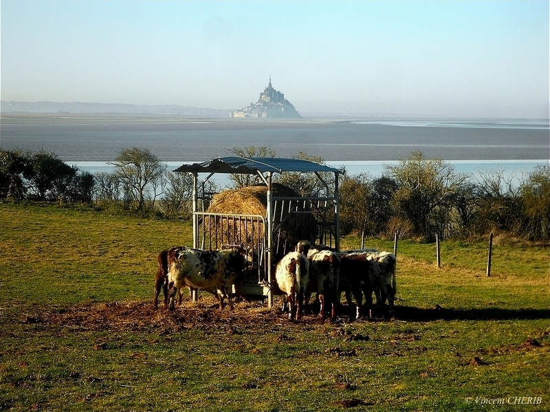 2025-11/eem-6-ok-ps-pn