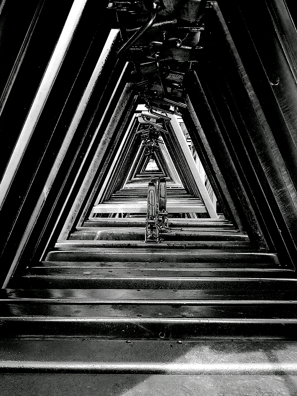 2026-01/1768486193_dscn7742-aa-r-800